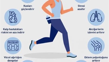 Spor Yapmanın Hormonal Dengedeki Rolü: Stresi Azaltma ve Hormon Seviyelerini Dengeleme